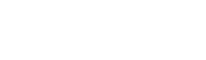 Chat GPT